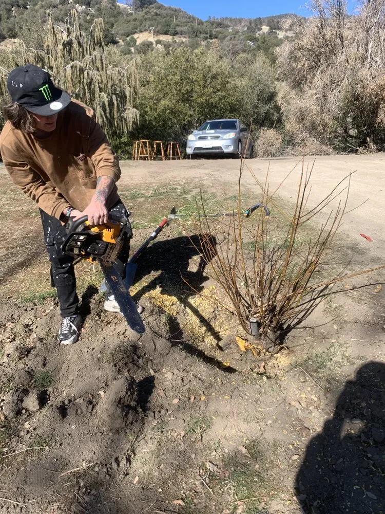 Custom yard maintenance near you in Tehachapi, CA by E&E Remodels