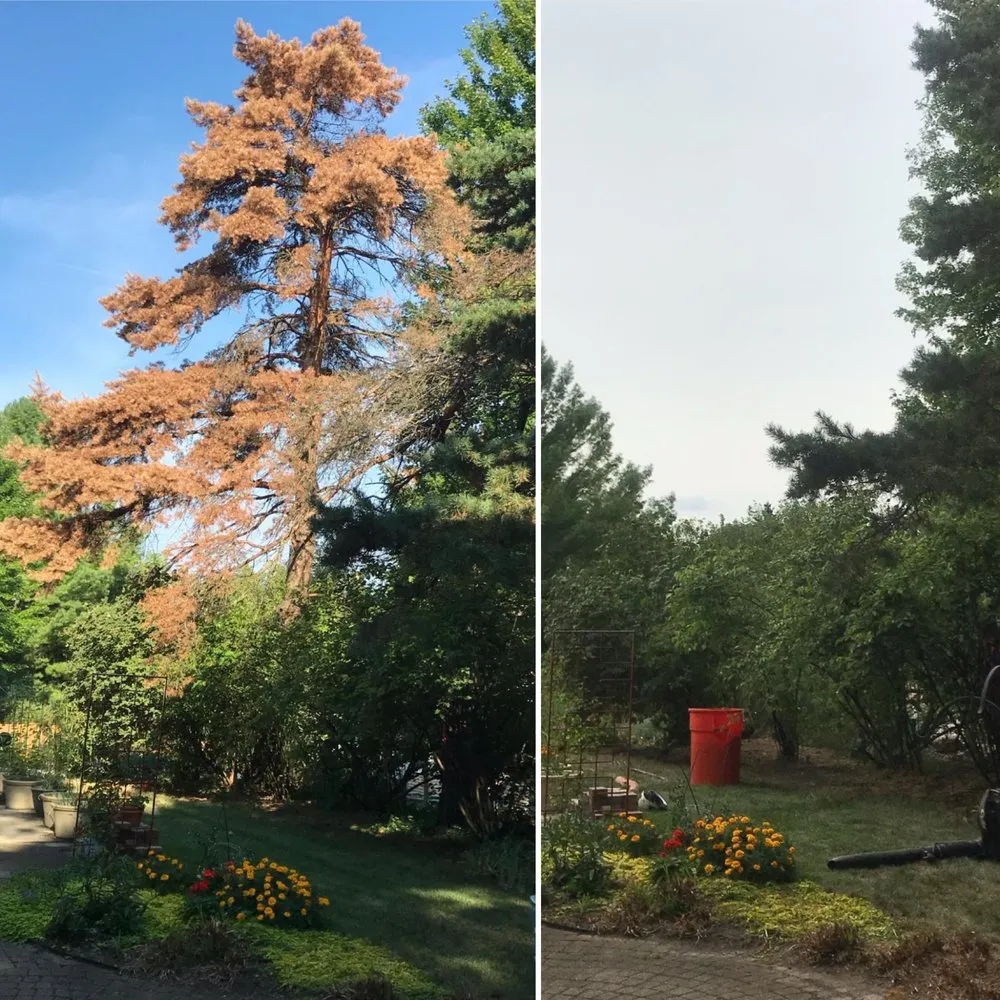 Local landscaping services in Montgomery, IL by EE Tree Service