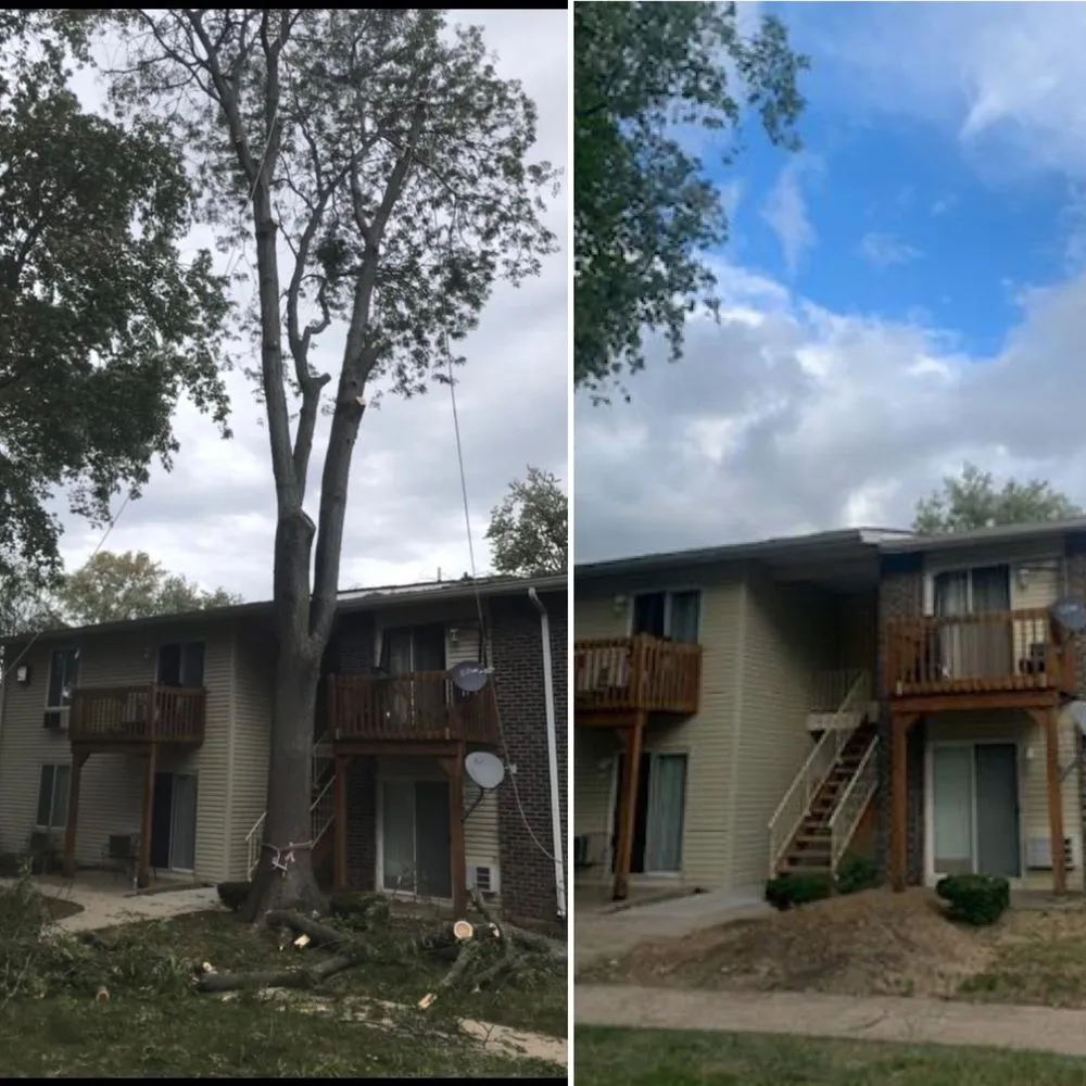 Professional yard cleanup service experts serving Montgomery, IL - EE Tree Service