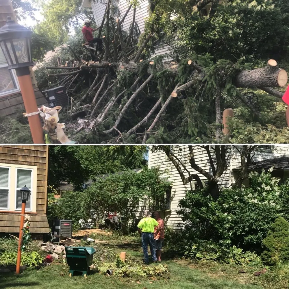 Expert garden landscaping near you across Montgomery, IL - EE Tree Service