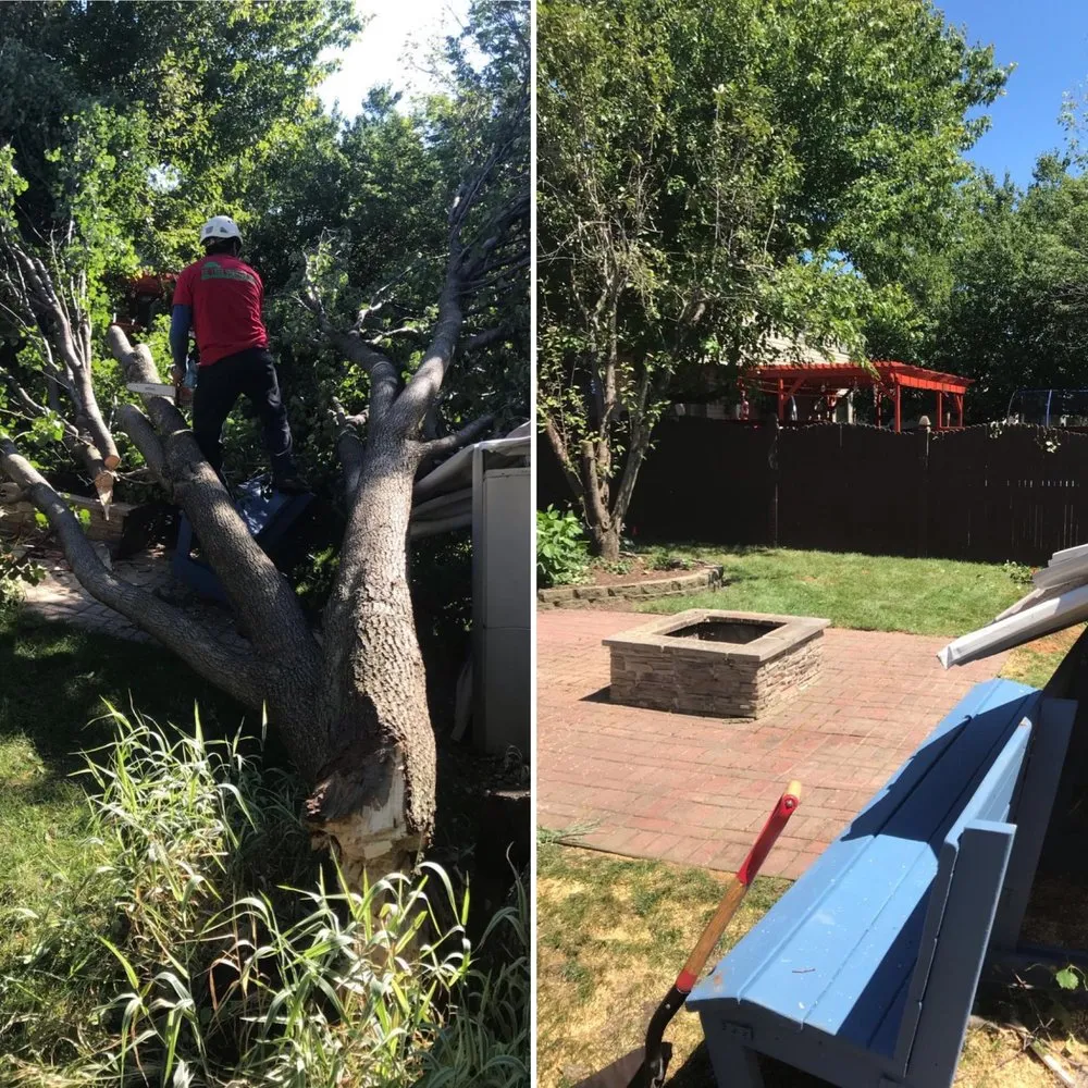 Custom lawn care service in Montgomery, IL - EE Tree Service