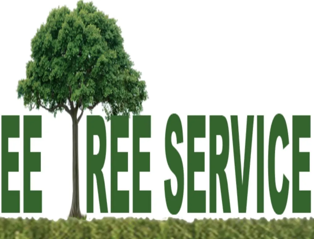 Expert lawn care service in Montgomery, IL - EE Tree Service