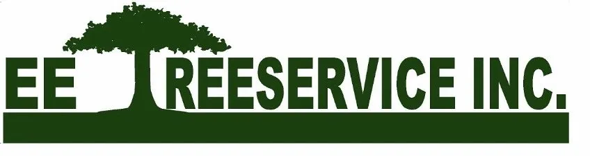 Local landscape design in Montgomery, IL - EE Tree Service