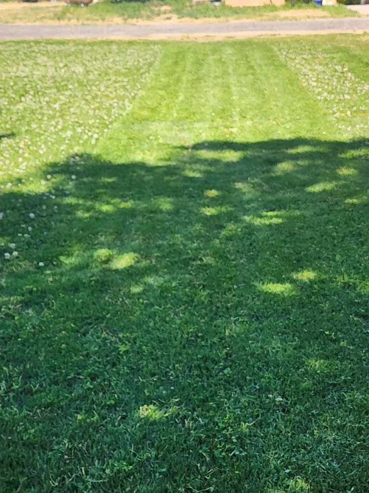Affordable outdoor landscaping for year-round maintenance in El Nido, CA by E&E Yard Services