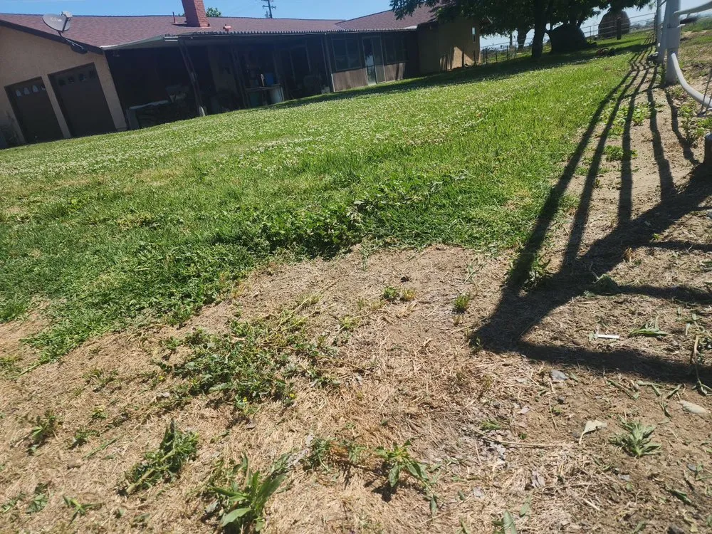 Professional residential landscaping for homes in El Nido, CA by E&E Yard Services