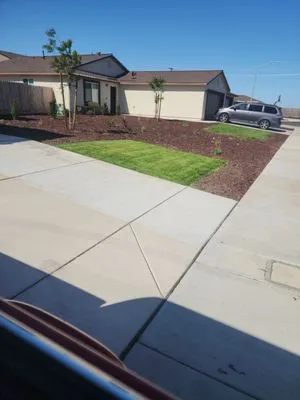 E&E Yard Services