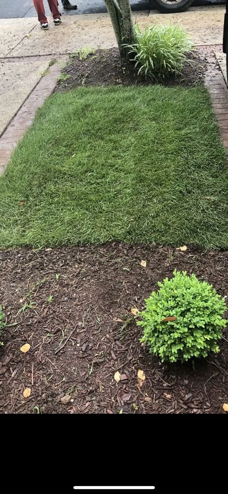 Trusted residential landscaping near you across Rockville, MD - EECO Landscaping