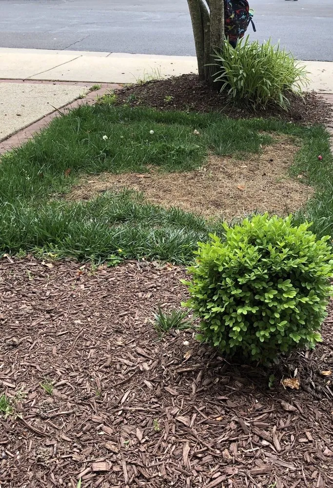 Custom garden landscaping for beautiful yards across Rockville, MD - EECO Landscaping