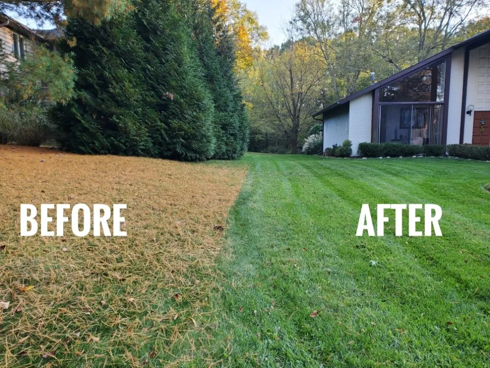 Reliable lawn mowing service in Rockville, MD - EECO Landscaping