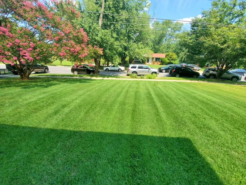 Top-rated lawn care service with custom design across Rockville, MD - EECO Landscaping