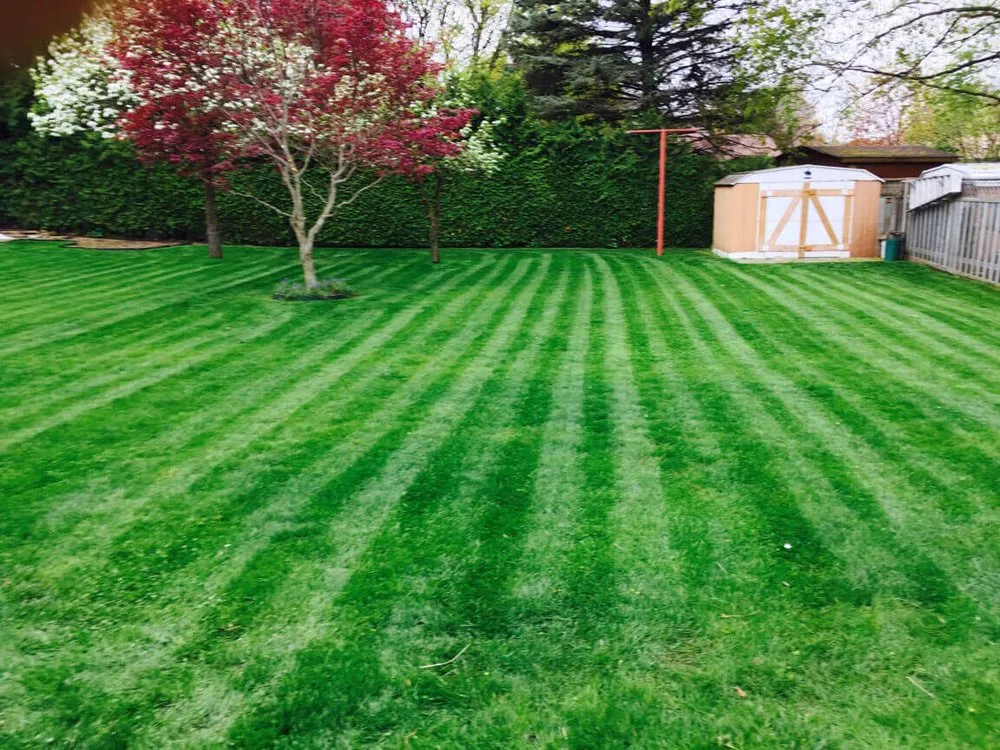 Affordable landscape design in Rockville, MD - EECO Landscaping