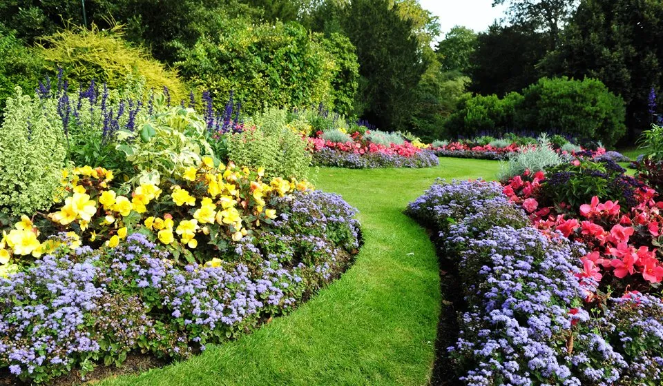 Custom lawn care service with custom design in Rockville, MD by EECO Landscaping