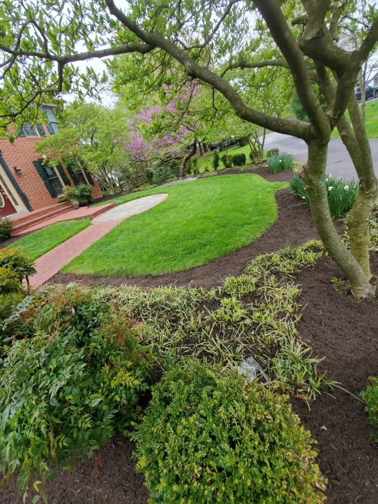 Custom landscape installation with custom design in Rockville, MD by EECO Landscaping