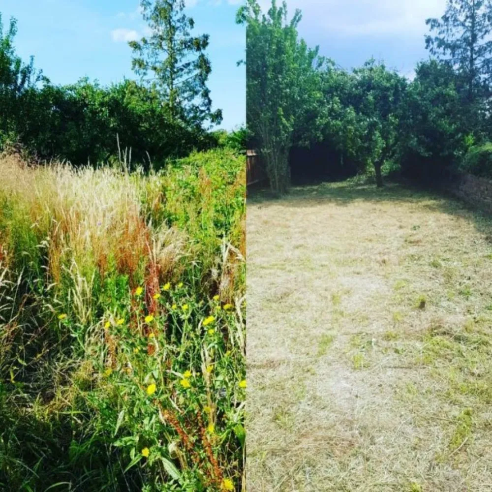 Affordable residential landscaping experts serving Longview, TX - E&EE Property Care