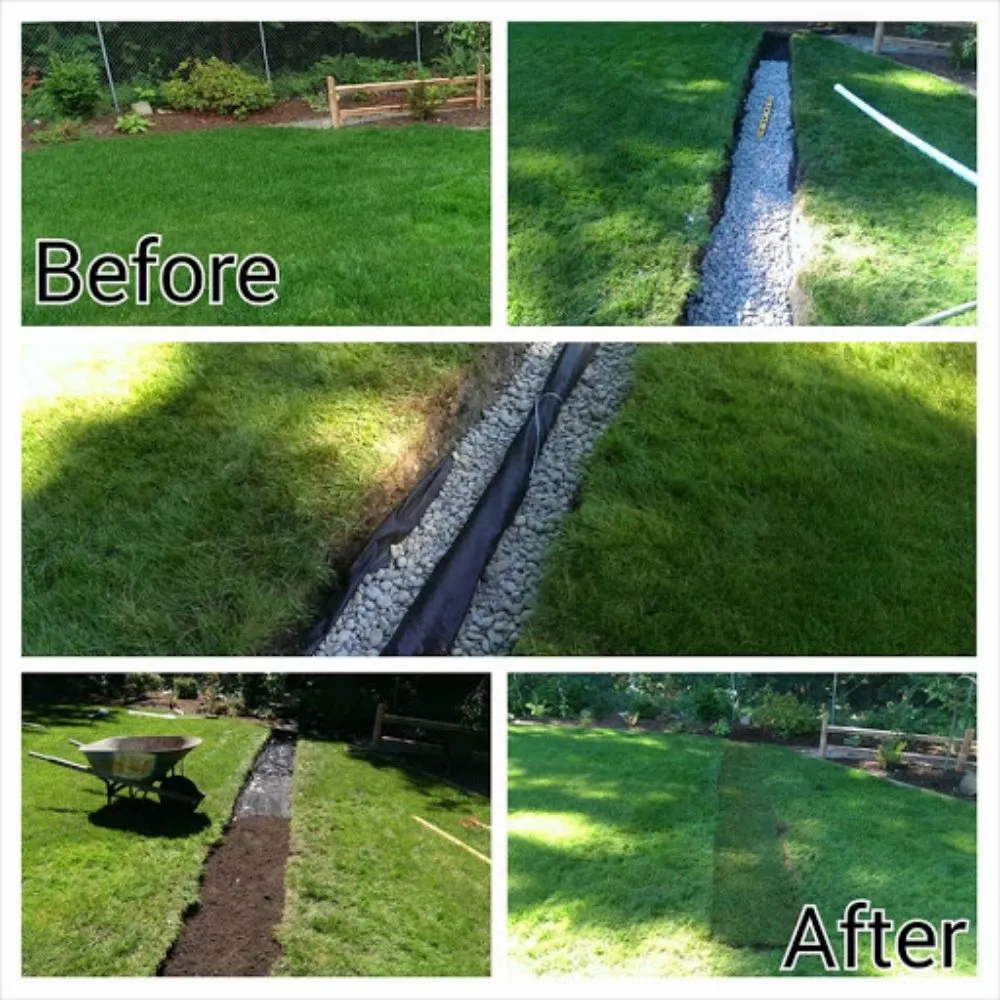 Expert yard cleanup service for beautiful yards across Longview, TX - E&EE Property Care