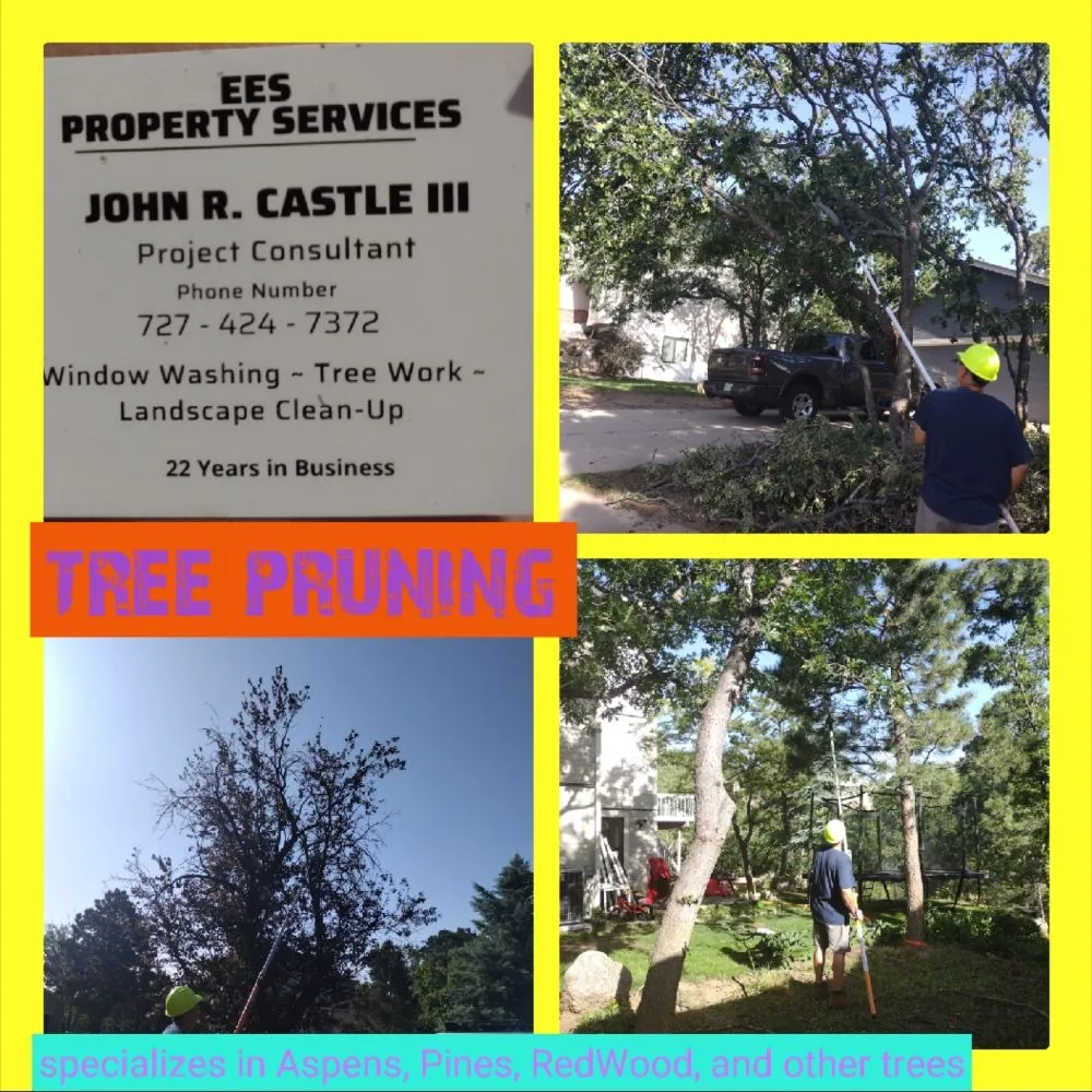 Custom yard cleanup service in Colorado Springs, CO by EES PROPERTY SERVICES