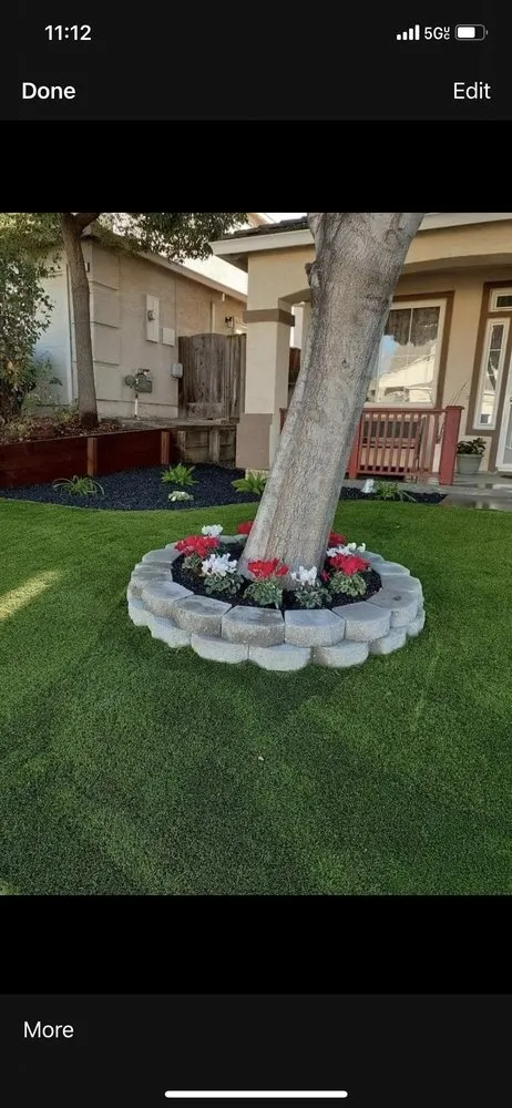 Local yard maintenance for year-round maintenance across Tracy, CA - E&F Landscape And Construction