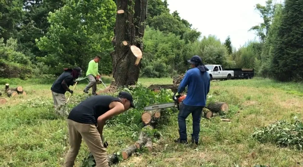 Top-rated landscape installation in Warminster, PA by E&F Landscape