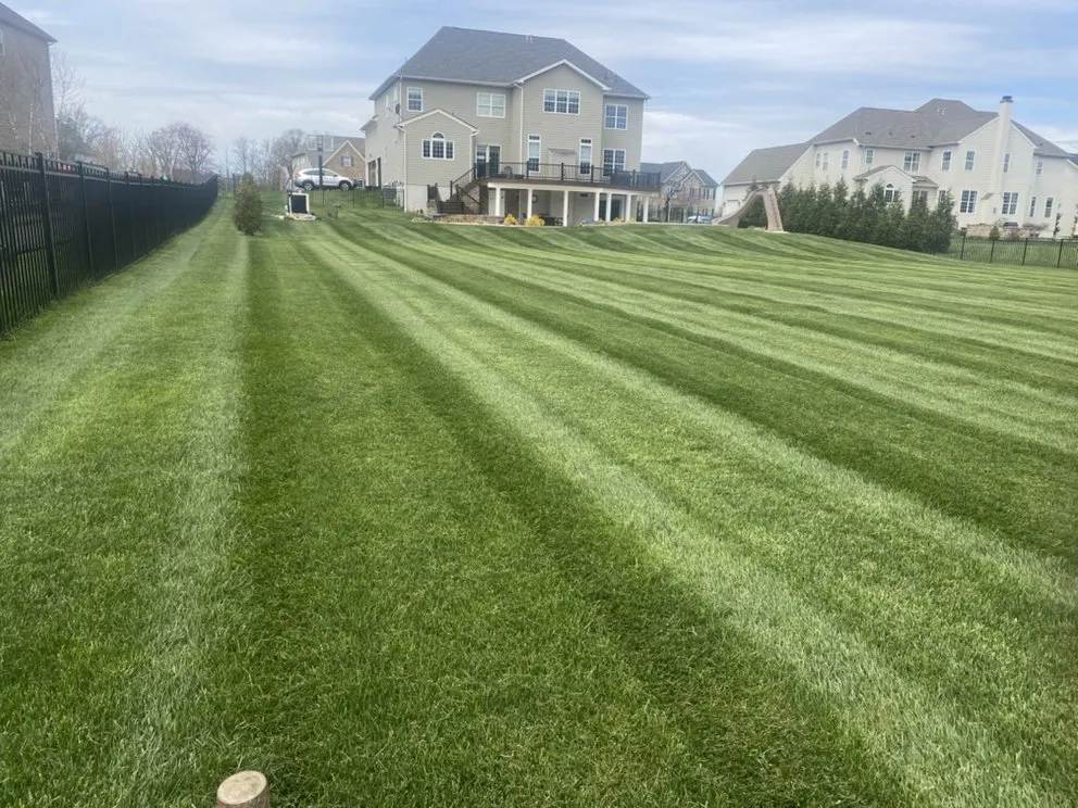 Expert yard maintenance in Warminster, PA - E&F Landscape