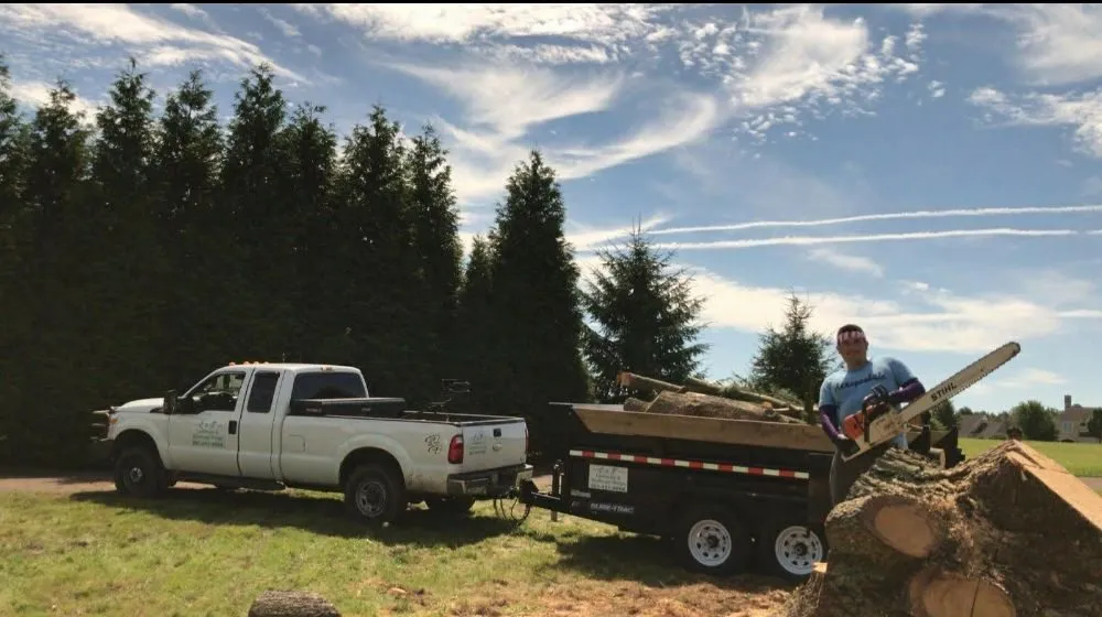 Custom outdoor landscaping for outdoor upgrades across Warminster, PA - E&F Landscape