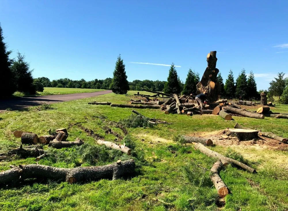 Custom yard maintenance in Warminster, PA by E&F Landscape