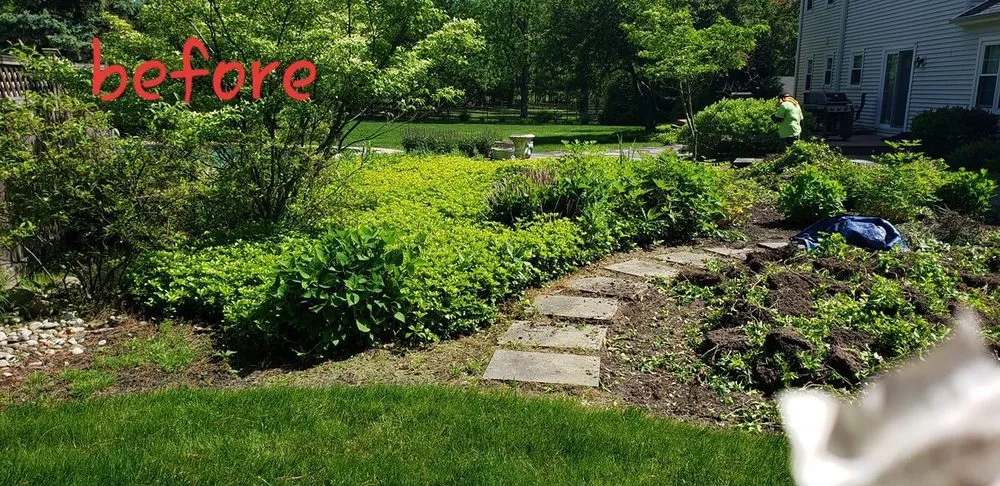Affordable yard maintenance for year-round maintenance across Warminster, PA - E&F Landscape