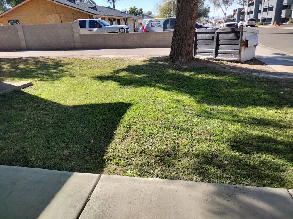 Expert landscape design experts serving Surprise, AZ - E&F Landscaping