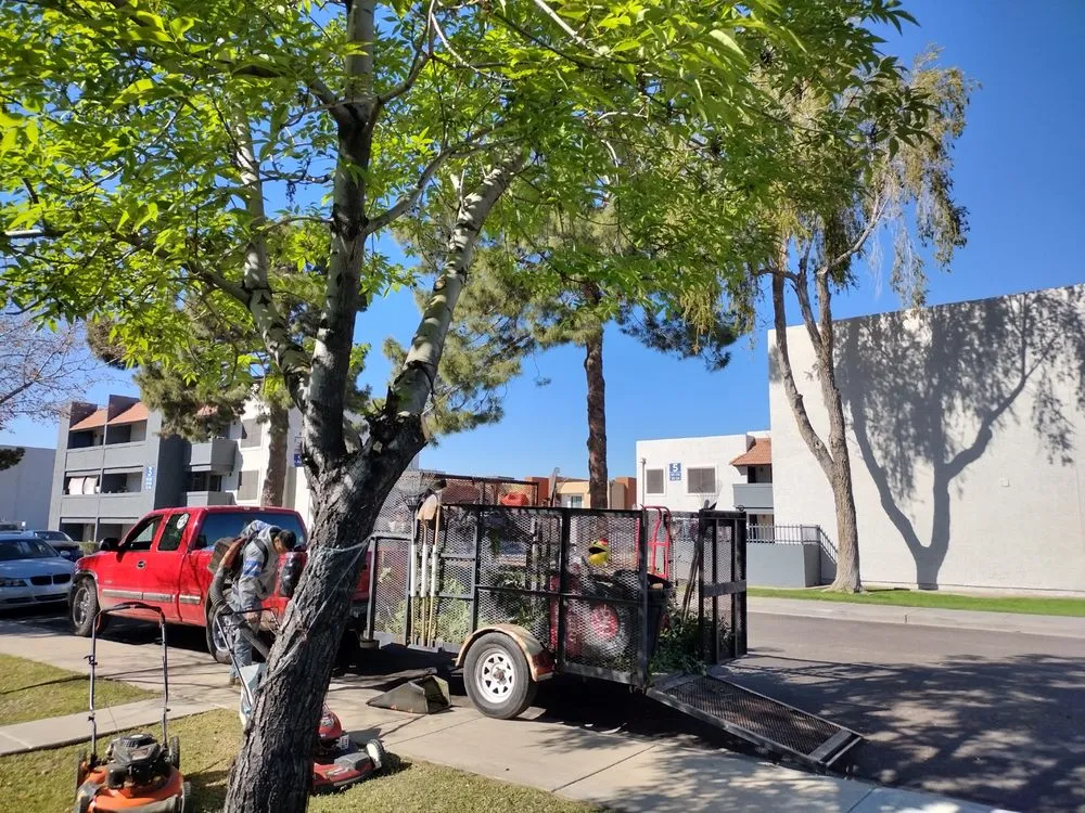 Reliable landscaping services near you in Surprise, AZ by E&F Landscaping