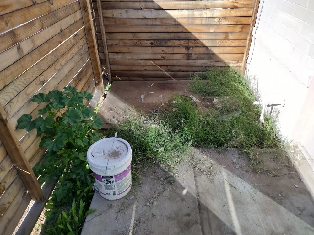 Professional residential landscaping in Surprise, AZ - E&F Landscaping