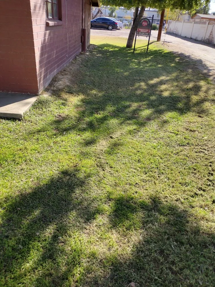 Top-rated yard cleanup service experts serving Surprise, AZ - E&F Landscaping
