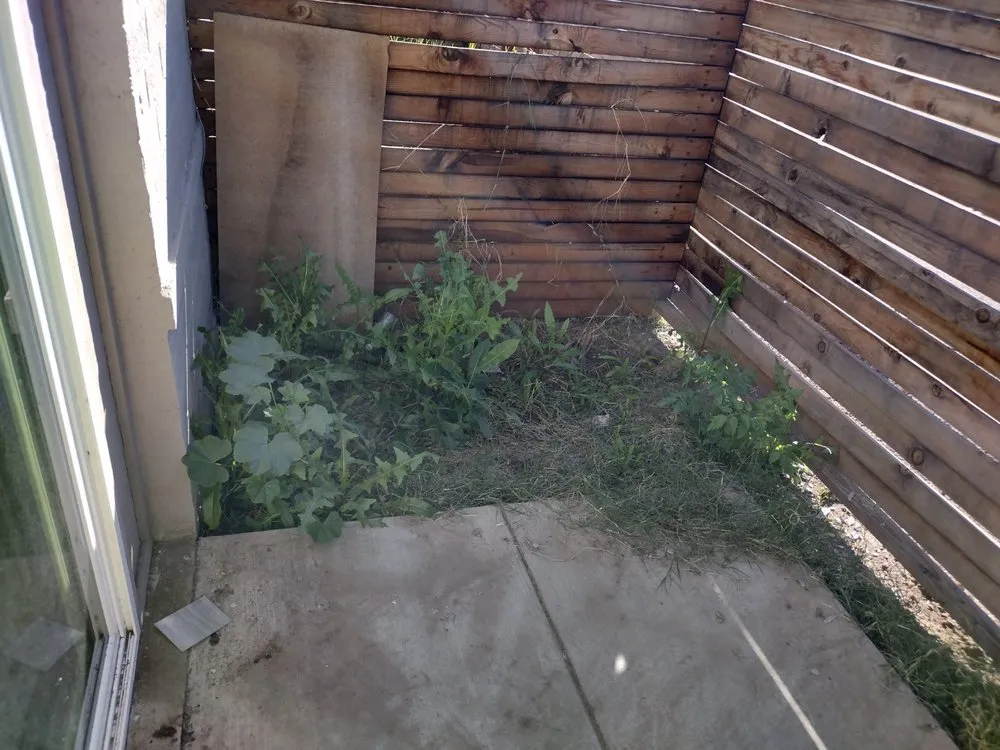 Professional garden landscaping in Surprise, AZ - E&F Landscaping