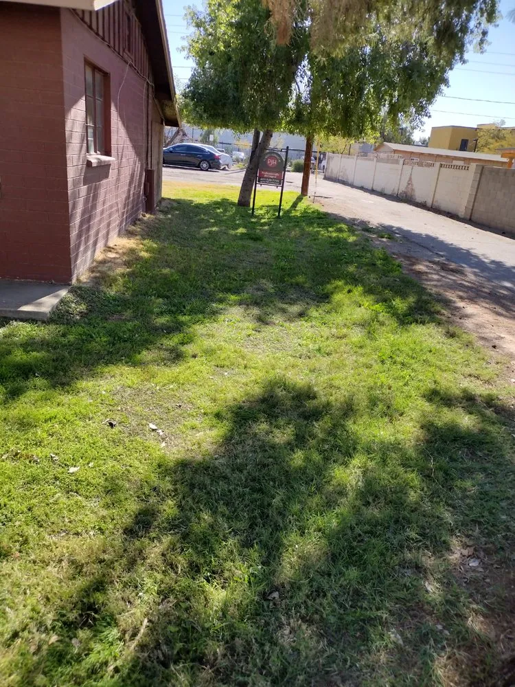 Affordable landscape design experts serving Surprise, AZ - E&F Landscaping