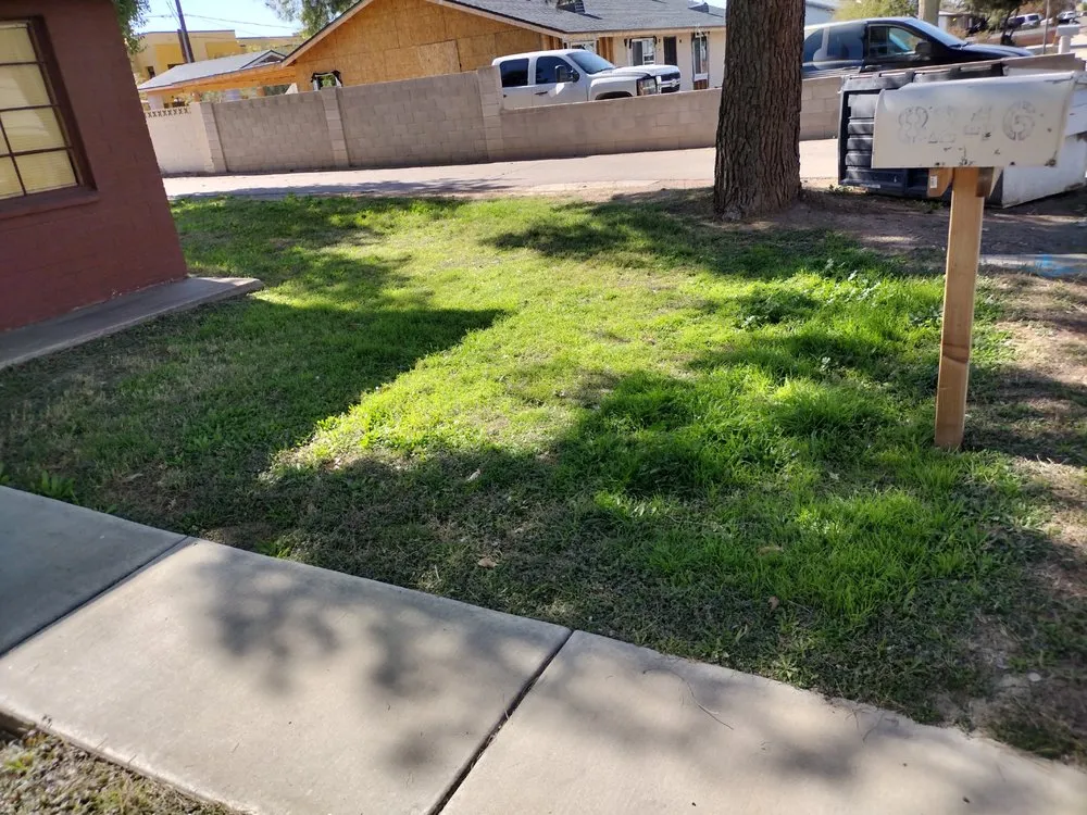 Reliable landscaping services for residential properties across Surprise, AZ - E&F Landscaping