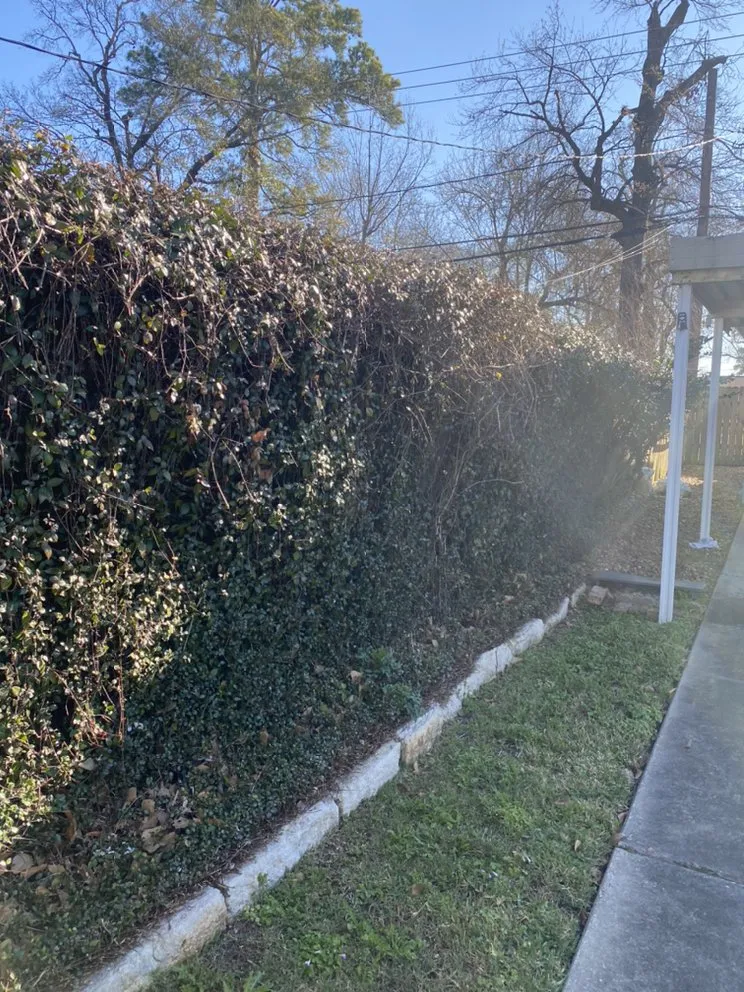 Affordable garden landscaping in Houston, TX - E&F Pro Landscaping