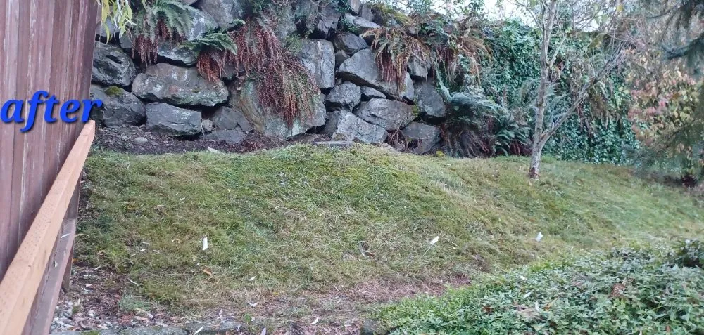 Custom lawn mowing service experts serving Tulalip Bay, WA - EFero Handyman Services
