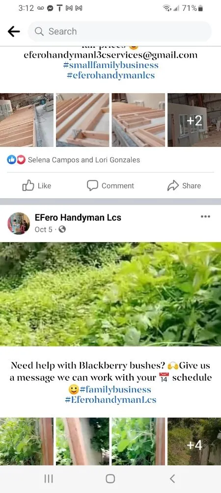 Expert landscape installation for beautiful yards in Tulalip Bay, WA by EFero Handyman Services