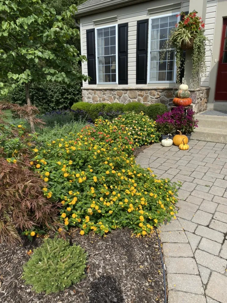 Affordable garden landscaping in Doylestown, PA - Efficient Landscape