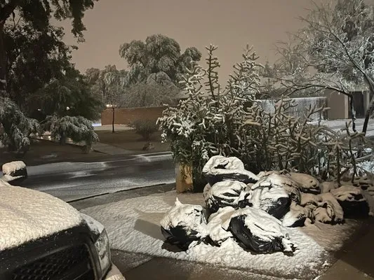 Efficient Landscaping Logo