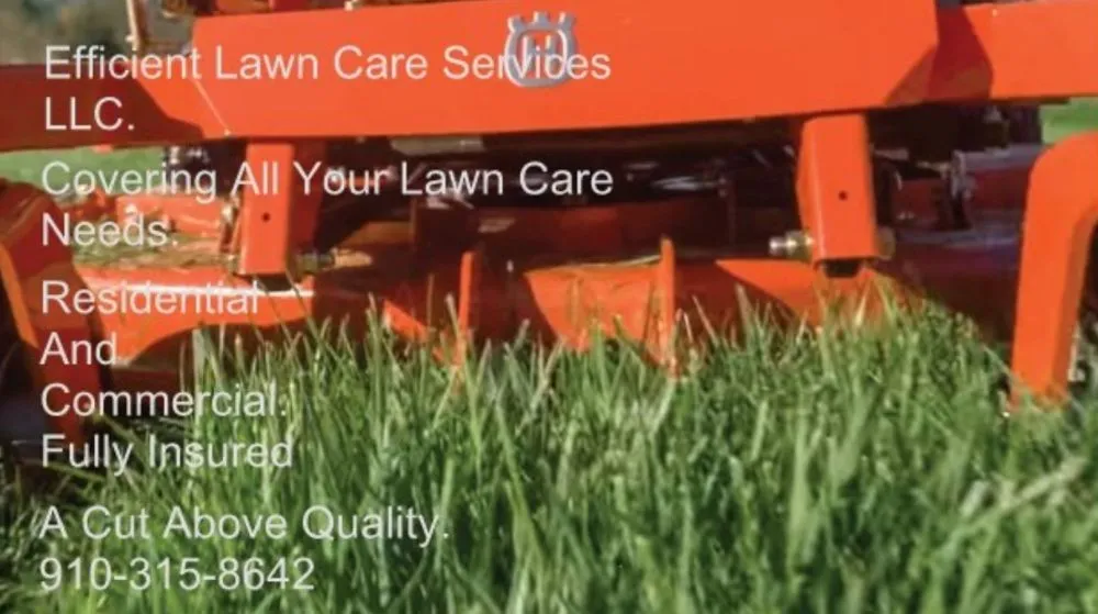 Top-rated residential landscaping in Robbins, NC - Efficient Lawn Care Services