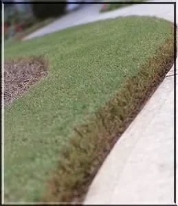 Trusted yard cleanup service near you across Grandville, MI - Efficient Lawn Maintenance