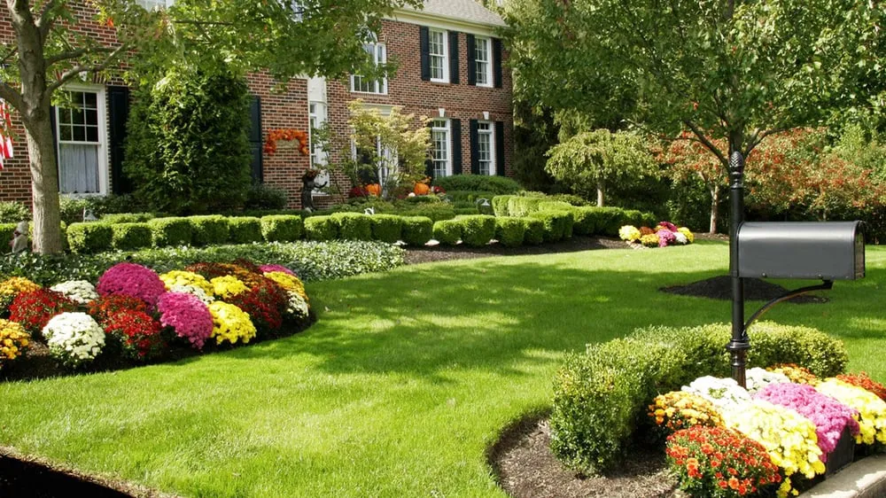 Top-rated yard cleanup service in Woodburn, OR - Effren Yard Maintenance