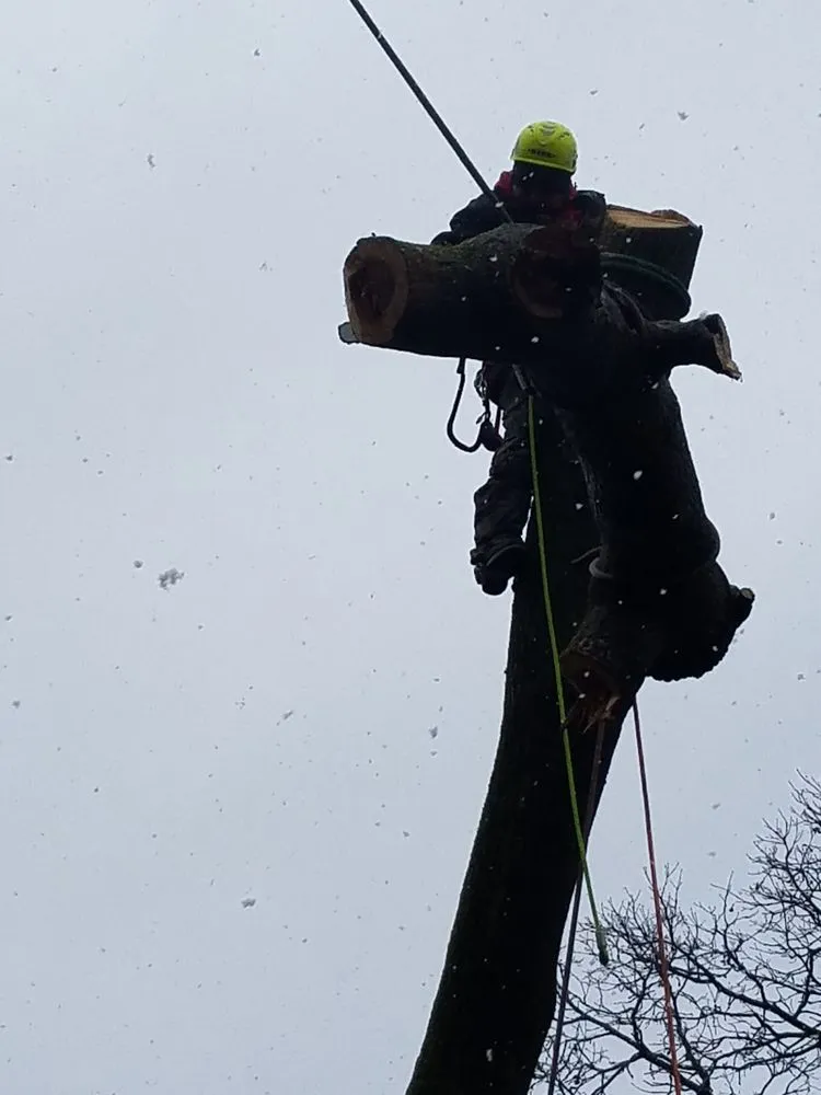 Reliable yard maintenance experts serving McHenry, IL - E.F.P. Express Landscaping Service