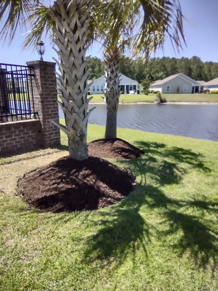 Custom landscaping services in Georgetown, SC by Efrain and Son lawn Care Service