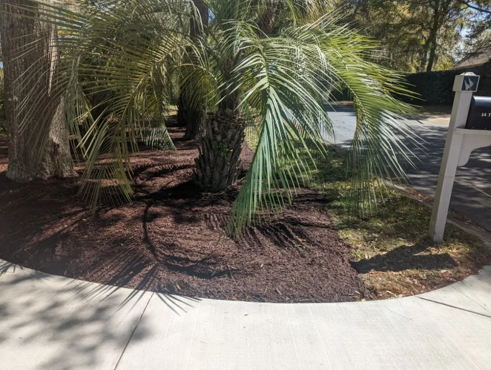 Custom garden landscaping for beautiful yards across Georgetown, SC - Efrain and Son lawn Care Service