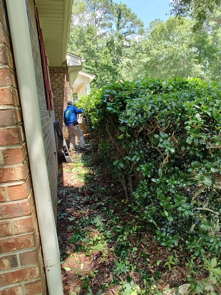 Affordable lawn mowing service for beautiful yards in Georgetown, SC by Efrain and Son lawn Care Service