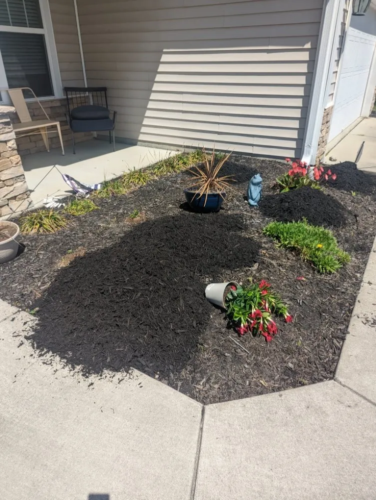 Top-rated landscape design for homes in Georgetown, SC by Efrain and Son lawn Care Service