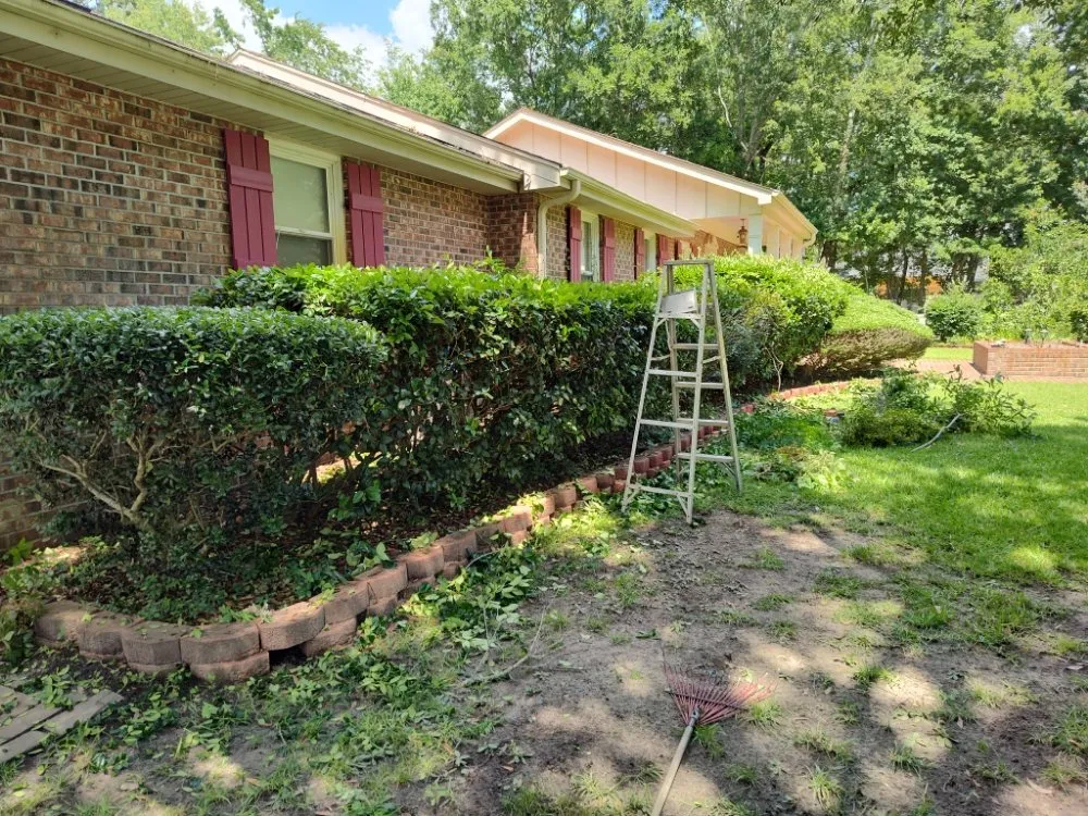 Trusted residential landscaping experts serving Georgetown, SC - Efrain and Son lawn Care Service