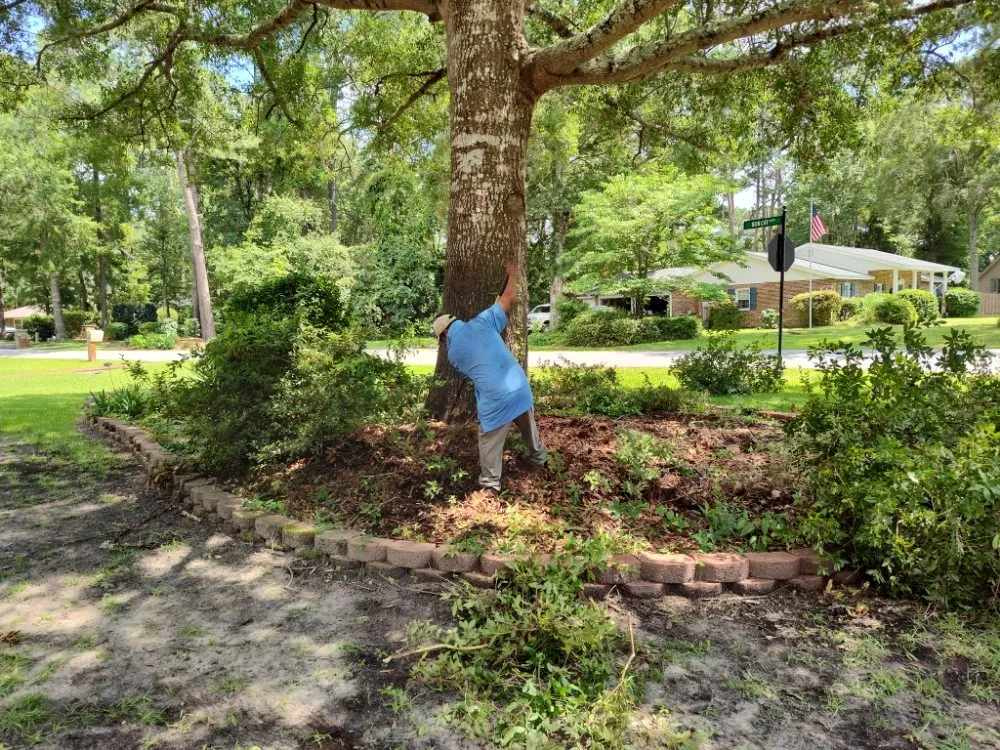 Professional garden landscaping experts serving Georgetown, SC - Efrain and Son lawn Care Service