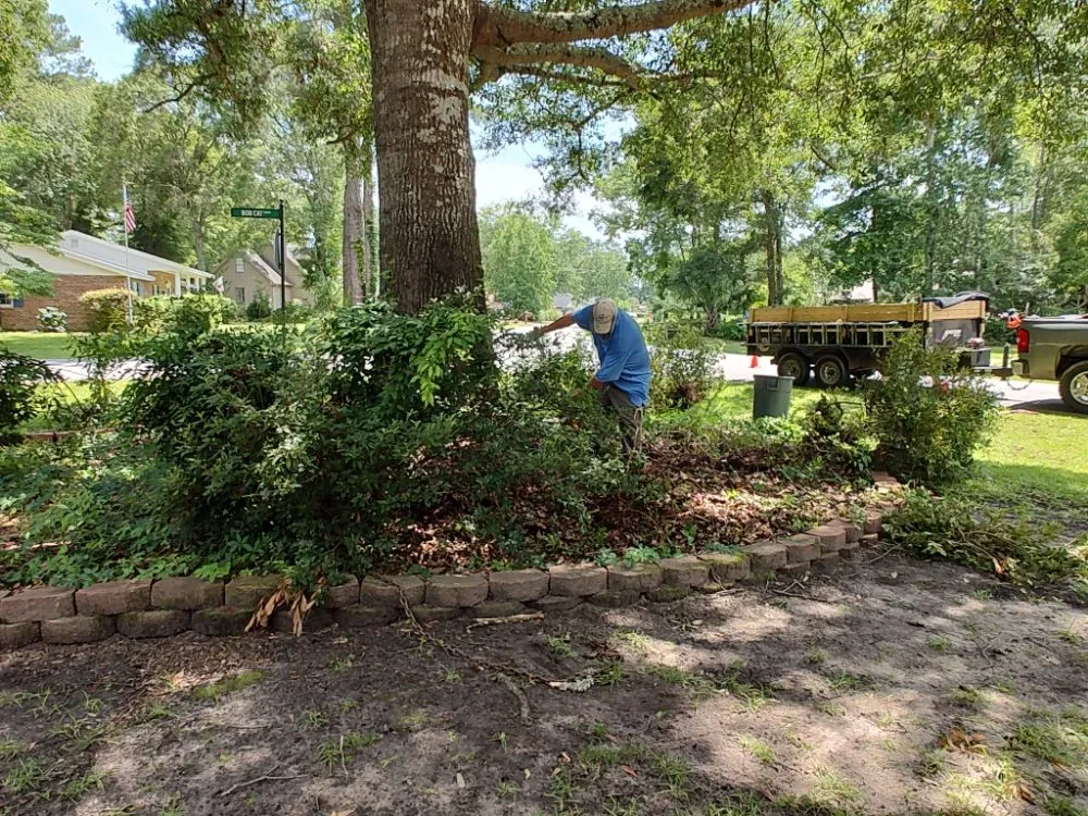 Expert lawn care service experts serving Georgetown, SC - Efrain and Son lawn Care Service