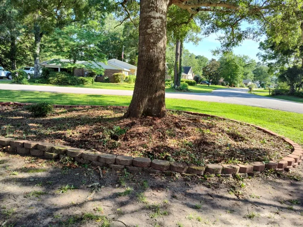 Expert yard cleanup service for homes in Georgetown, SC by Efrain and Son lawn Care Service